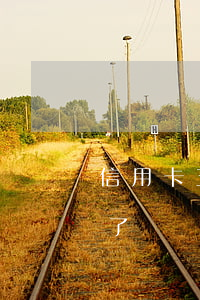 信用卡五萬逾期利息多少(五千的信用卡逾期了、如今要還兩萬多)